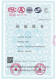 803自力锁公安检测报告