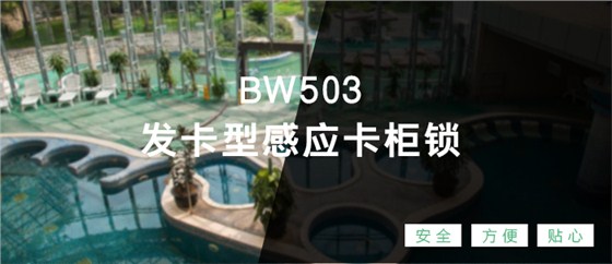 BW503发卡型感应卡柜锁